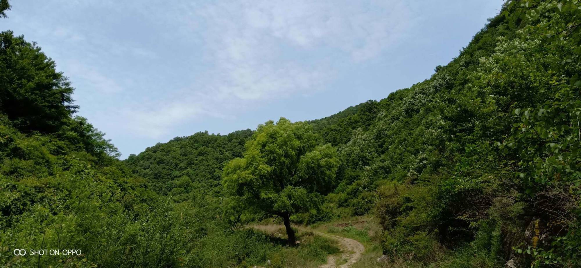 臂力无双！这位大侠，铁浆成武器