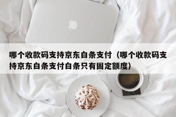 京东白条扫商家码扣多少手续费_付款京东码商家扫白条有风险吗_京东白条怎么扫码向商家付款