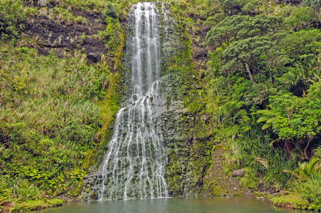 水晶岛蜜蜂洞在哪_水晶岛飞龙谷位置_水晶岛