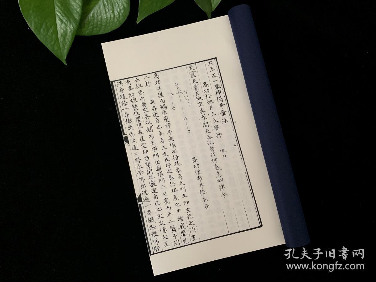 师门任务_师门任务奖励一览表_师门任务每天有多少个