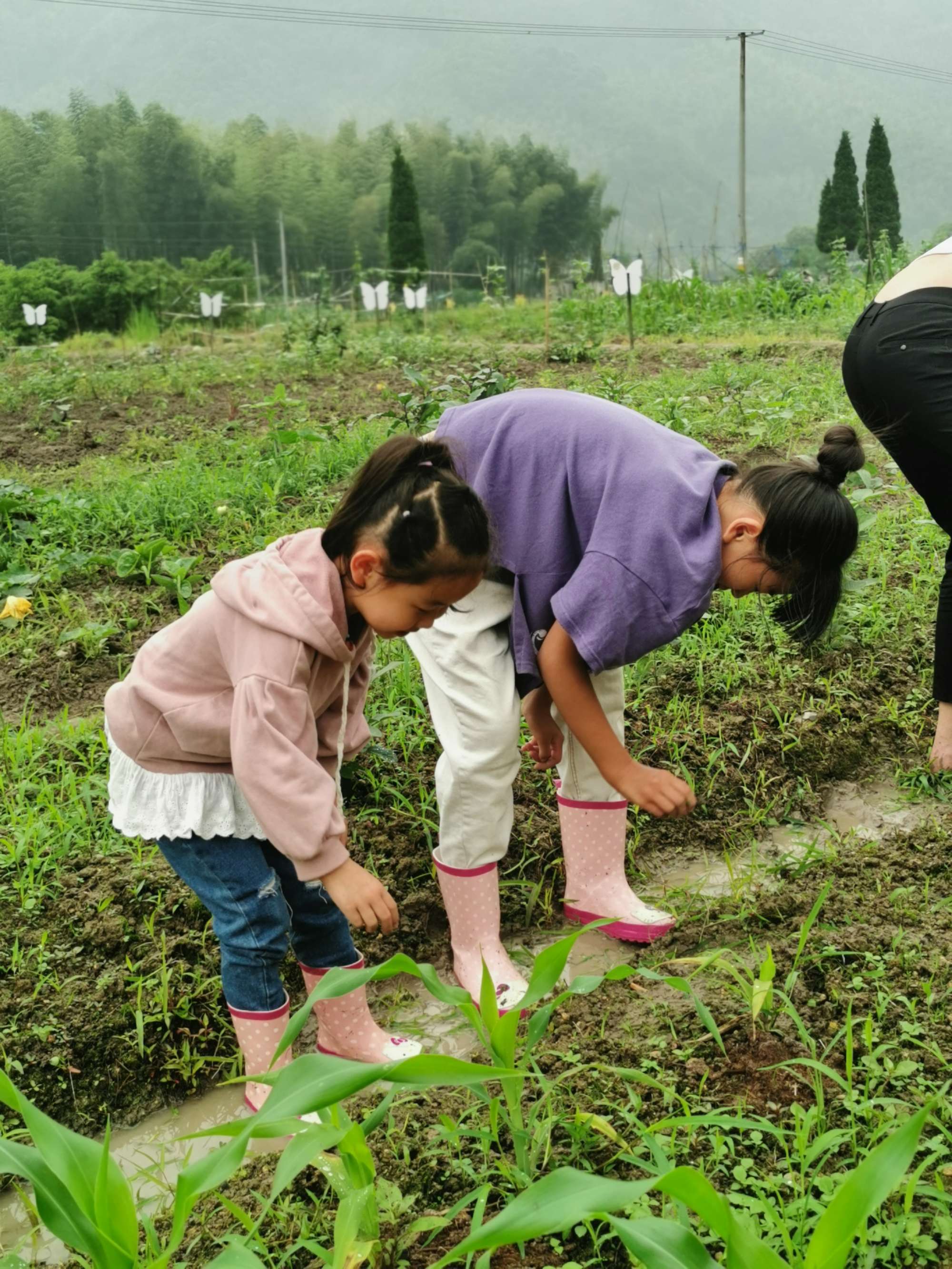 农场小游戏_农场游戏小程序_农场游戏小说女主