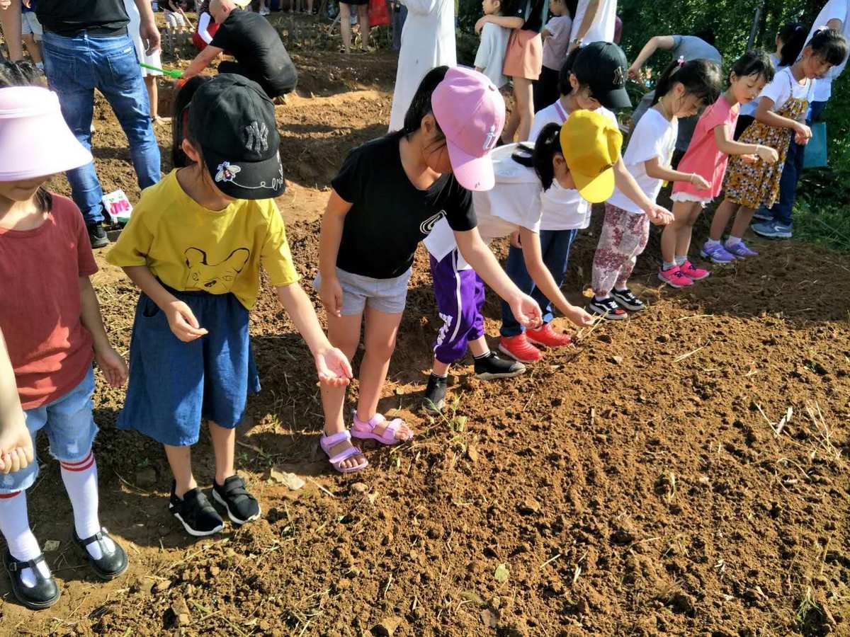 农场游戏小程序_农场游戏小说女主_农场小游戏