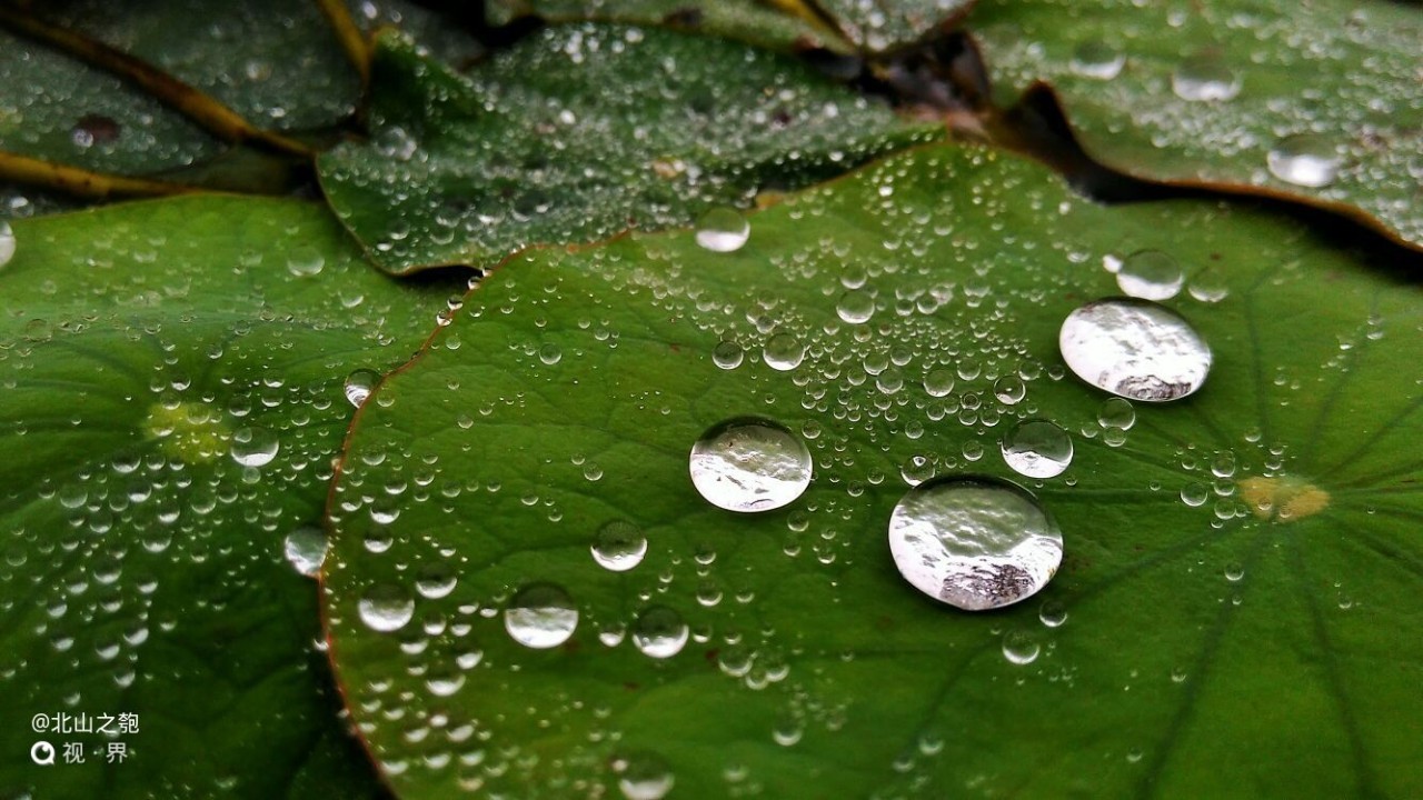 下雨天也能疾步飞奔，我是雨中竞速女王