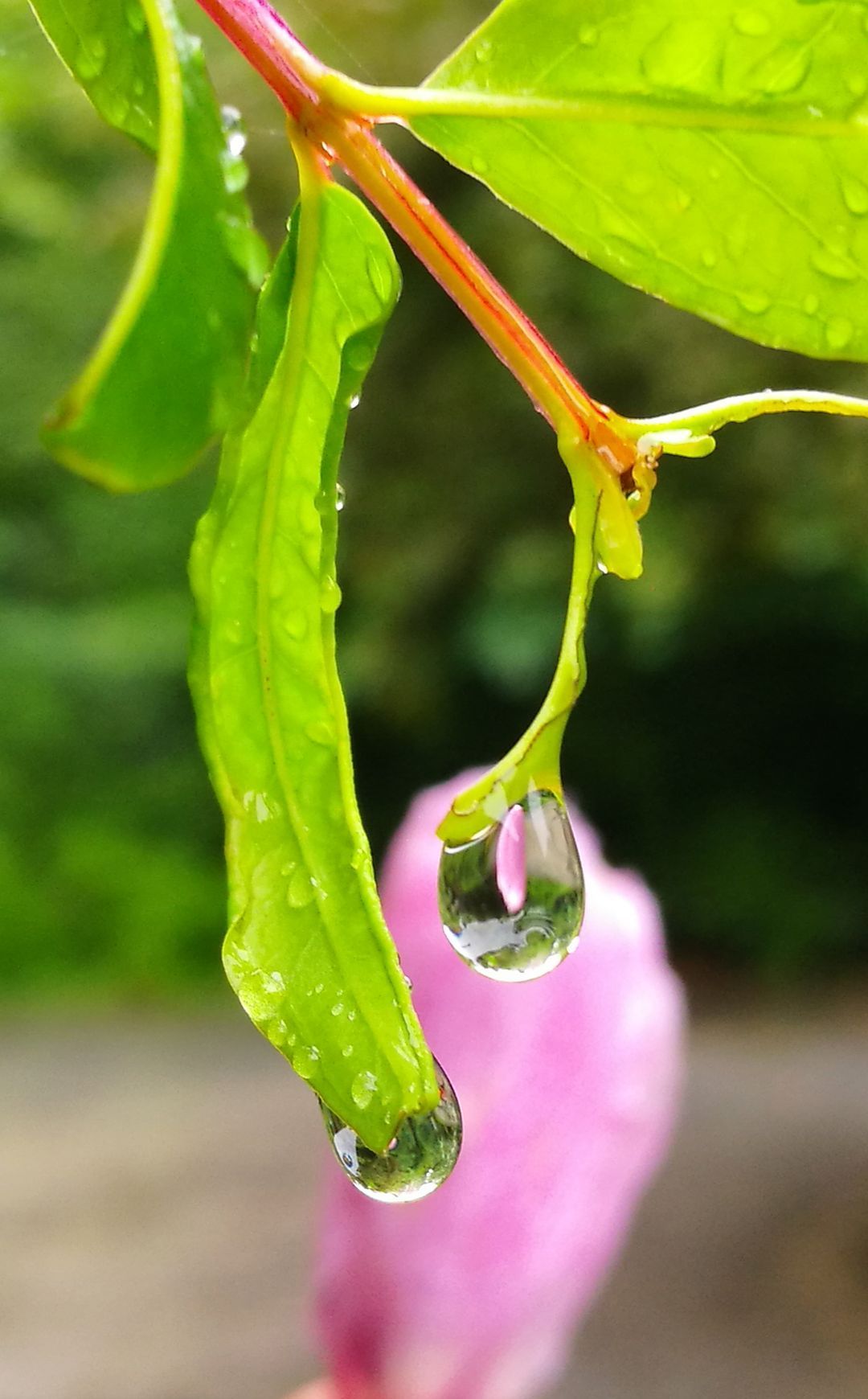 雨女竞速_竞速雨女速度_竞速雨女的等候第九层