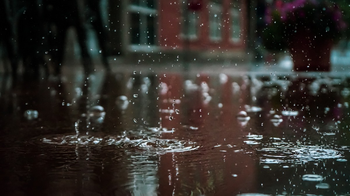 下雨壁纸动态_真实下雨动态壁纸_下雨动态壁纸下载