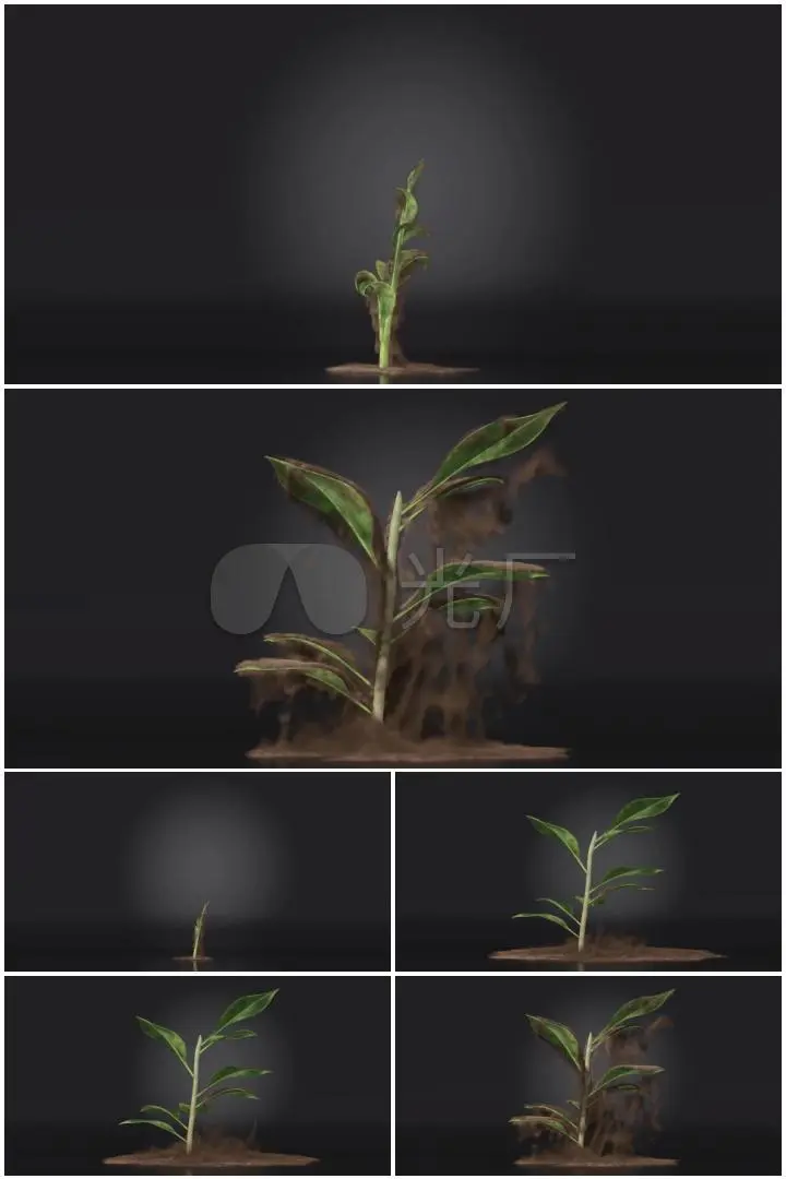 缺氧种子_缺氧种子推荐2023_缺氧种子查询网站