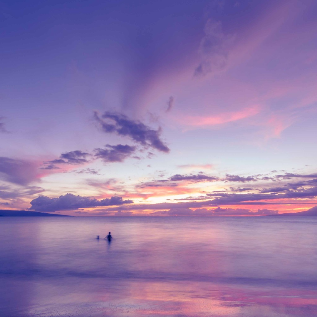 冰海天使图片_冰海天使_冰海天使能养吗