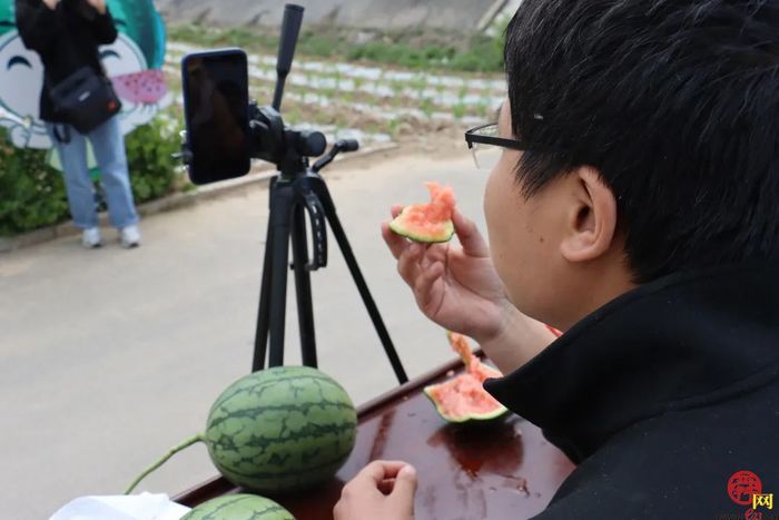 雨蝶直播免费直播_西瓜体育直播_西瓜直播app