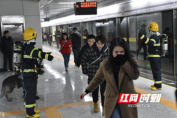 地铁逃生下_地铁逃生地下_地铁逃生