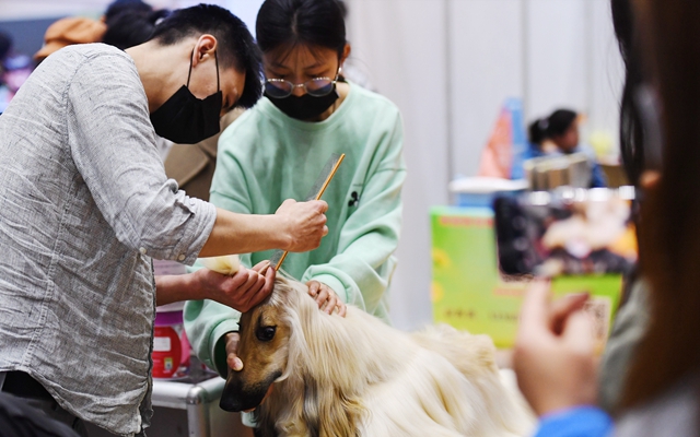 超市宠物能进吗_宠物超市_超市宠物寄存友情提示