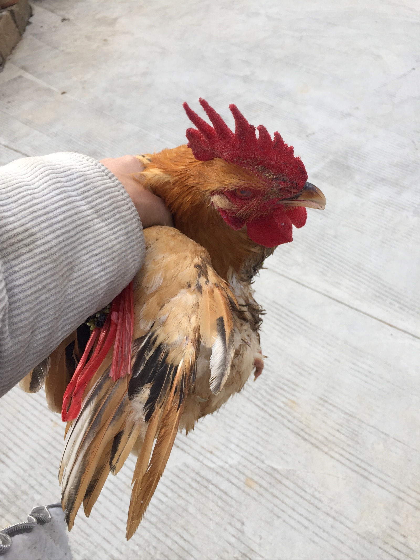 手机吃鸡游戏多人联机_手机吃鸡游戏多人联机_手机吃鸡游戏多人联机