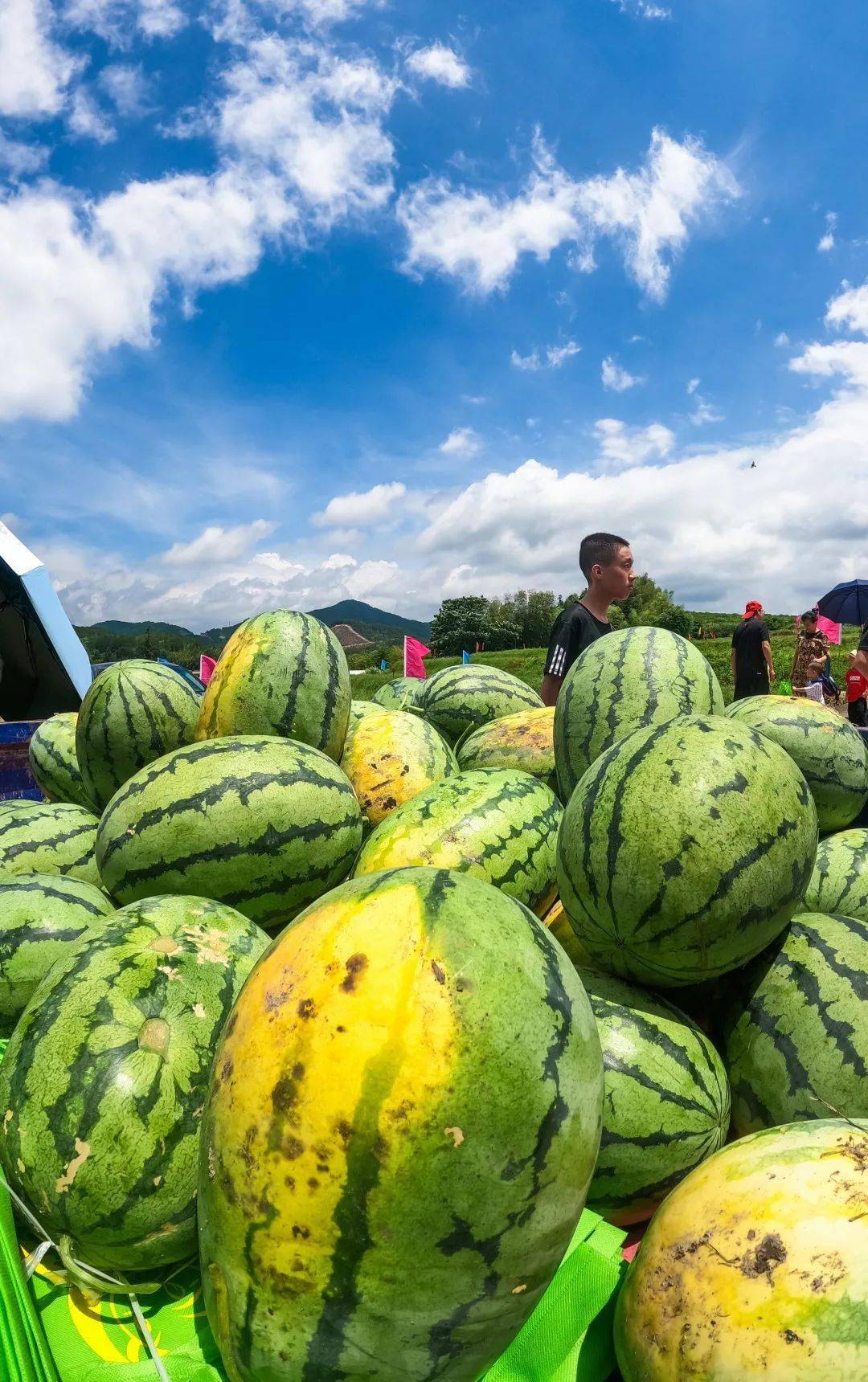 刮西瓜手机游戏怎么玩_手机刮西瓜游戏_刮西瓜皮的游戏