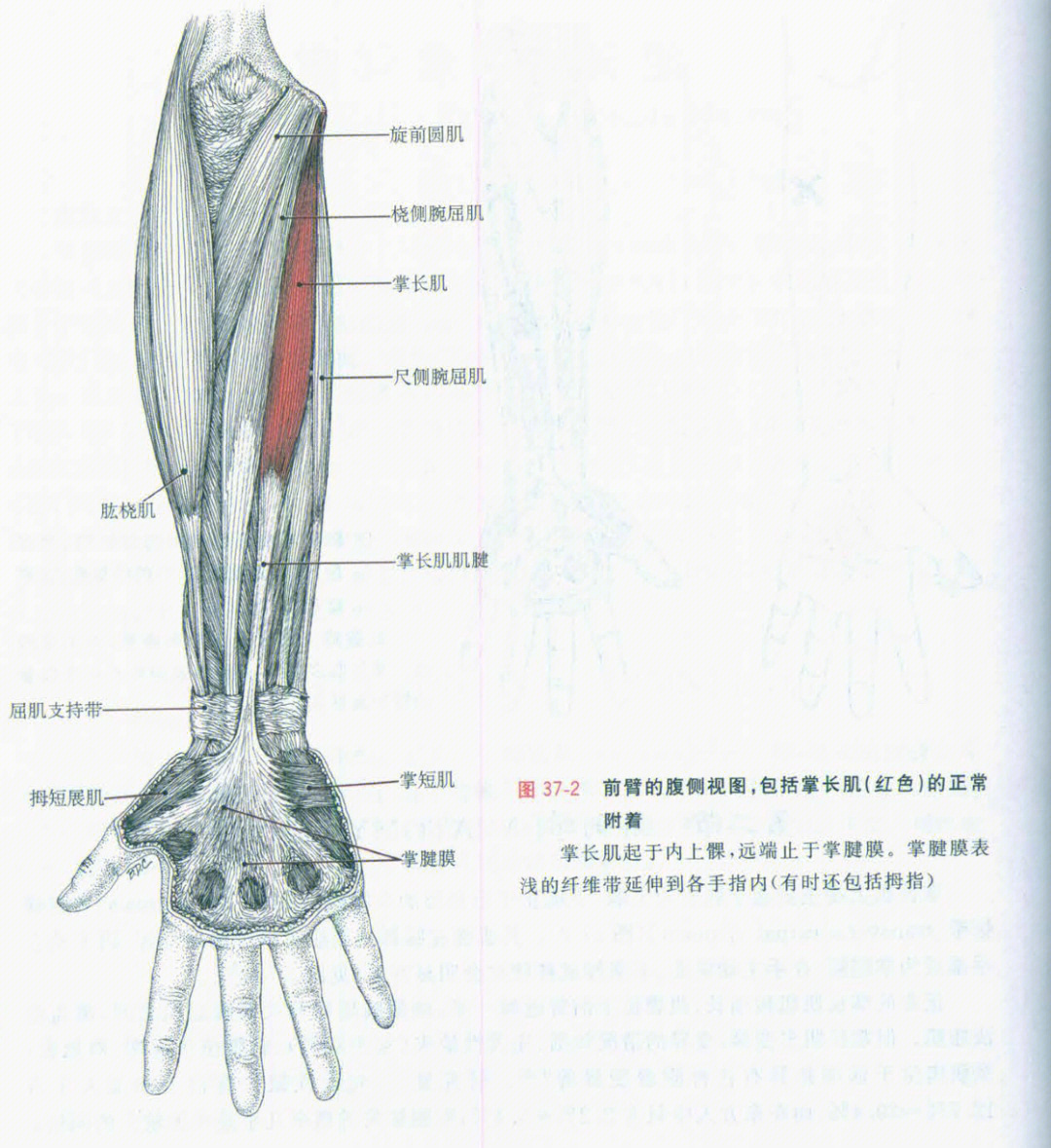 手机打游戏会动不了_动打手机游戏会死机吗_动打手机游戏会掉帧吗