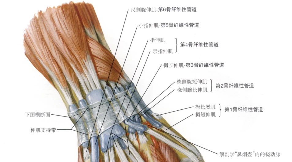 手机打游戏会动不了_动打手机游戏会死机吗_动打手机游戏会掉帧吗