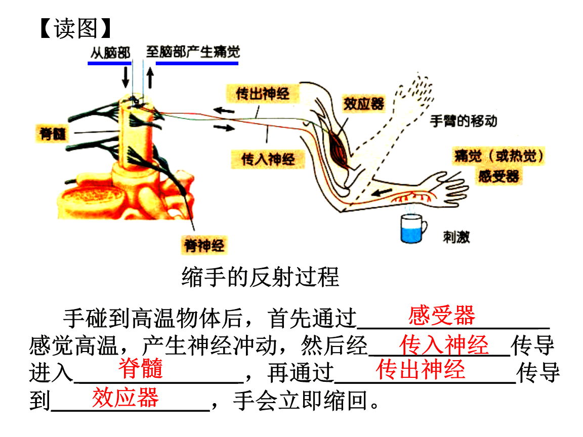 如何去掉手机游戏广告闪烁-秒杀手机游戏广告！反射神经训练法大揭秘