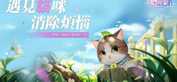 小猫圈手机游戏攻略_圈小猫在线网页游戏_圈小猫 手机游戏