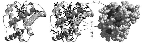 文件是PDF吗_文件是pdf格式怎么打印_pdb文件是什么