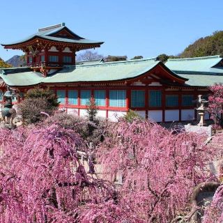 神社_神社是什么地方_神社和寺庙有什么区别