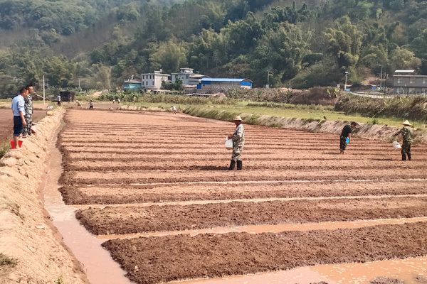 种田游戏大全_游戏推荐种田手机游戏下载_2020种田游戏