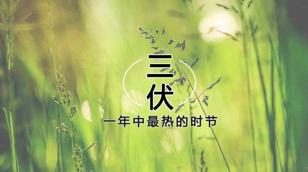 三伏天是几号开始几号结束_三伏天开始和结束时间_3伏天几号结束