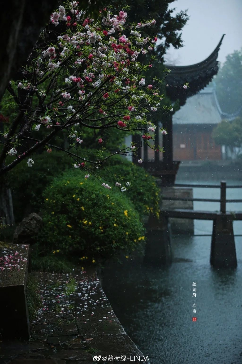 白雨_雨的印记_雨的英文