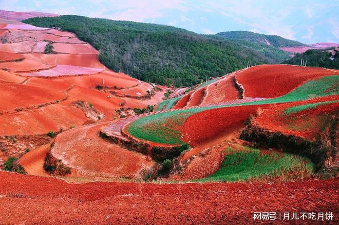 栗山_遵义县茅栗镇老娃山_栗寿山栗智