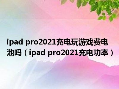 电板手手机充电转换器_手机充电玩游戏转换器_手机充电转化器怎么用