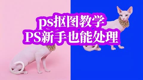 ps如何快速抠图-Photoshop快速高效抠图技巧：选择合