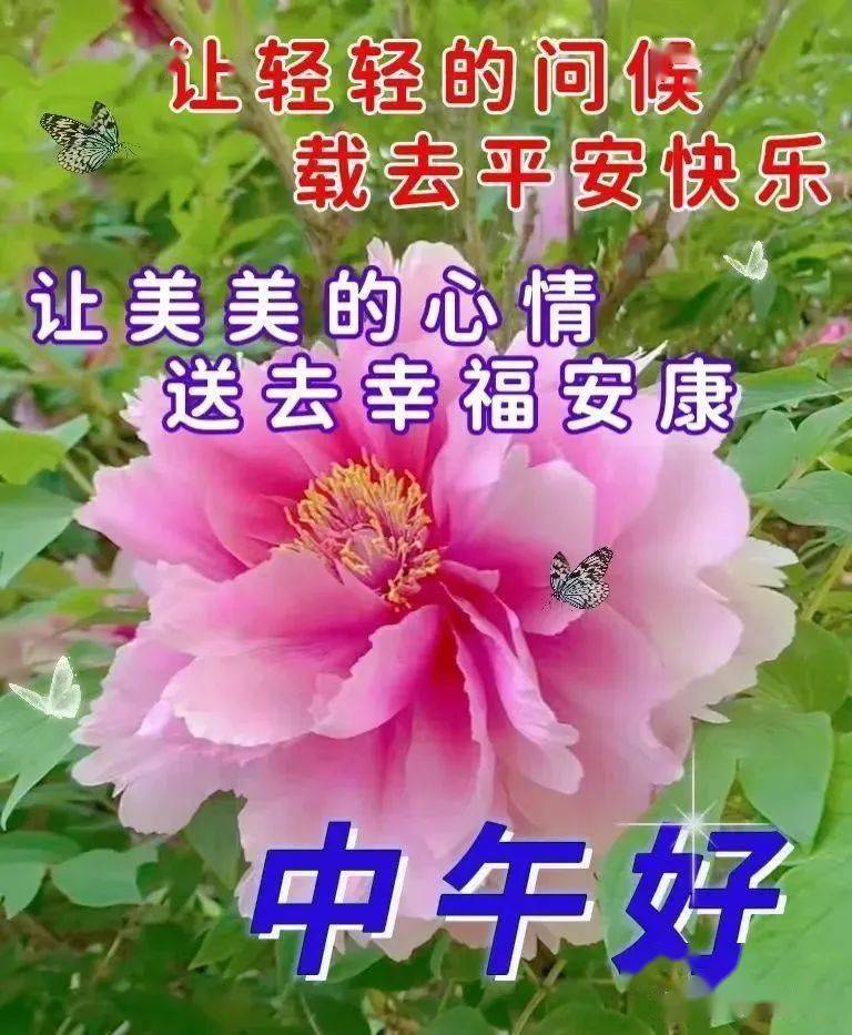 樱木舞_樱木舞_樱木舞