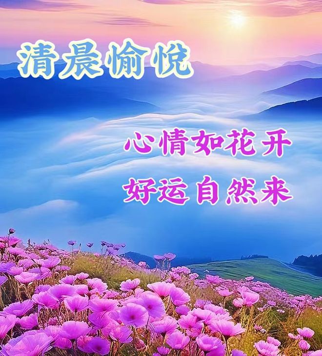 多多天气_多多天气最新版_多多天气准吗