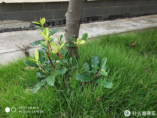 苹果7p手机街机游戏_苹果手机街机游戏厅_街机苹果机手机游戏