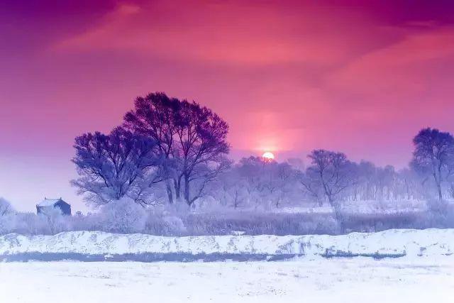 星伽白雪_星伽白雪的人气为什么低_星伽白雪和谁在一起