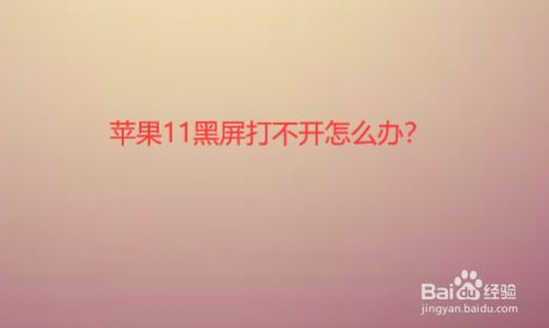 苹果手机进游戏黑屏一下_ios进游戏黑屏_苹果手机进游戏黑屏闪退