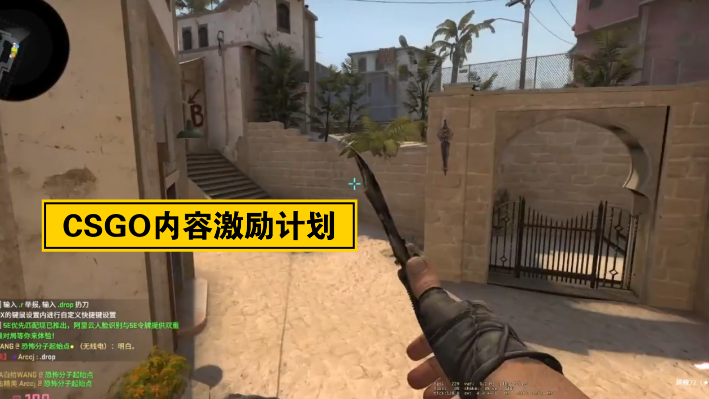 手机版躲猫猫游戏csgo-手机版躲猫猫游戏 CSGO：刺激的