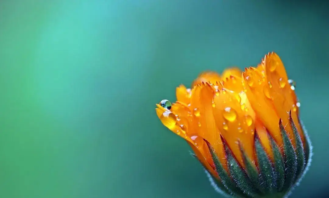 苹果手机游戏排行榜_苹果手机游戏充值怎么申请退款_苹果手机游戏selfcare