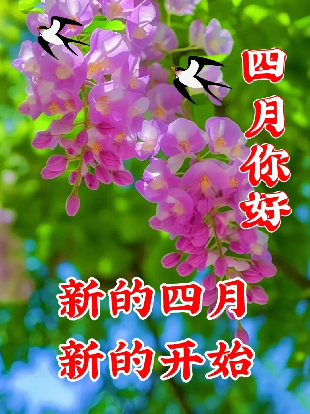 阿菊的盘子_阿菊_阿菊人偶