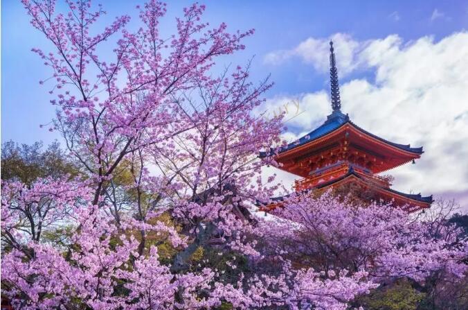 日本奈良_奈良日本最古老的寺院_奈良日本首都