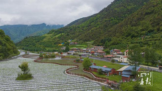 北海道富良野薰衣草_惟我独尊富良野_富良野