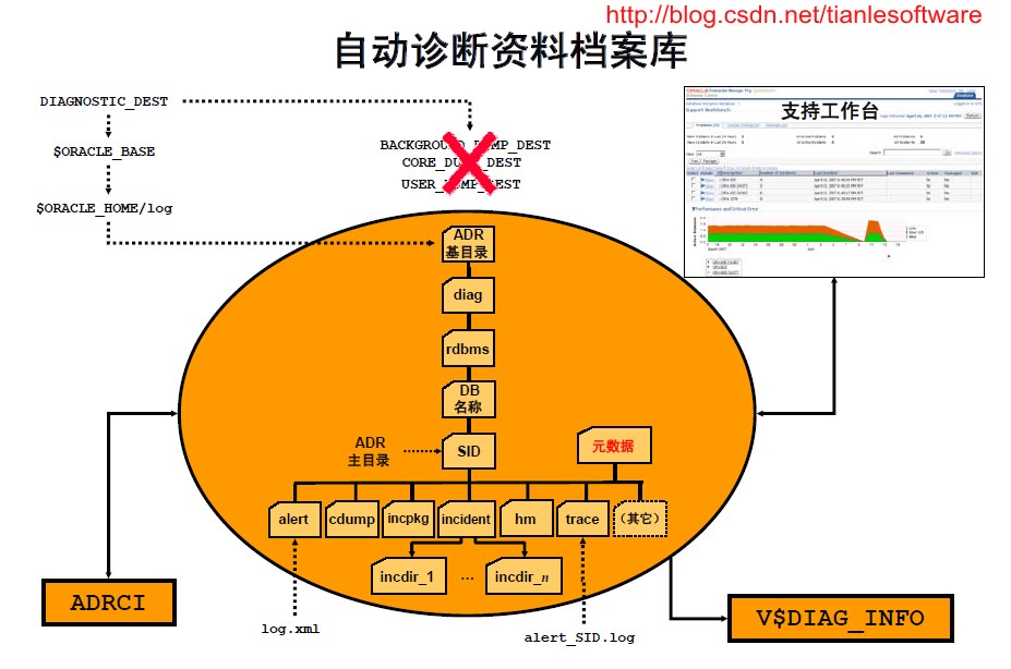 oracle常用函数_常用函数公式_常用函数的导数