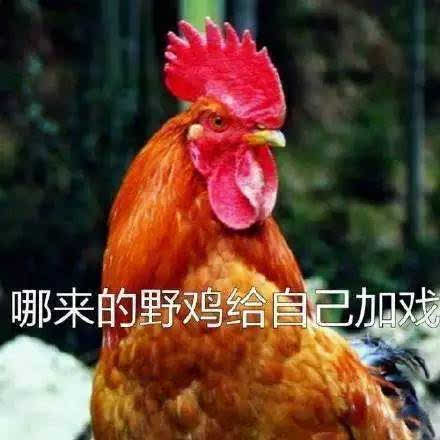 搞笑推荐手机游戏有哪些_搞笑手机游戏视频大全_手机的游戏推荐搞笑